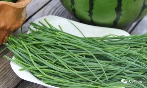 吃瓜网 寿光网红大瓜,背后的故事与真相