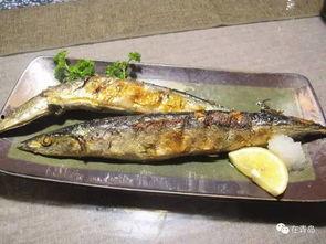 网红黑料牛奶秋刀鱼